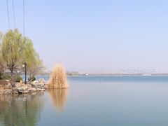 -南湖国家城市湿地公园