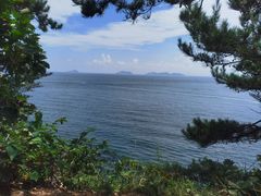 -棒棰岛宾馆景区