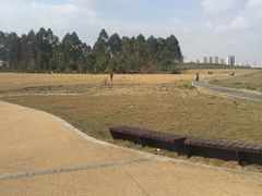 -白鹭湾湿地公园