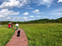 -塞罕坝国家级自然保护区