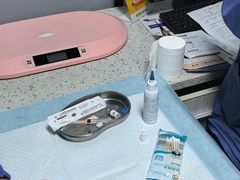 -半岛宠物医院24小时(科华中路店)