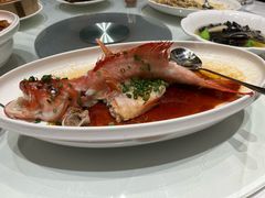 -金满楼(天河中路店)