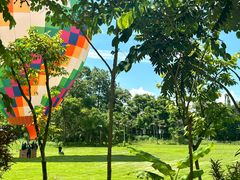 -西双版纳傣族园