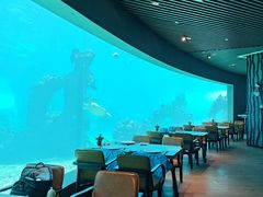 -海棠湾洲际-涛·海底餐厅·美人鱼·自助餐·海底隧道