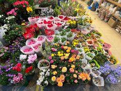 -双季花艺园艺市场(浦东店)