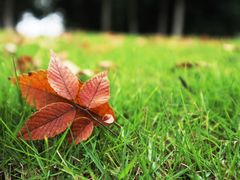 -尚贤河湿地