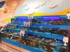 水产区-盒马鲜生(189购物中心店)