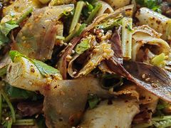 -杨记烧牛杂(蜀汉北街店)