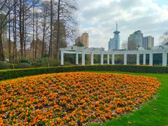 -新虹桥中心花园