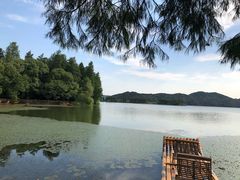 -东湖落雁景区