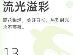 -虎头军八种杂粮煎饼(朝阳门店)