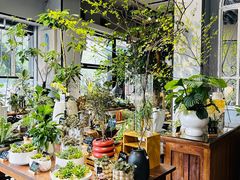 -弗劳尔花艺坊(龙涛店)