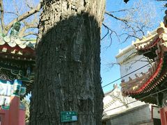 -贤良祠