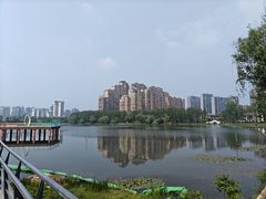 -金银湖国家城市湿地公园