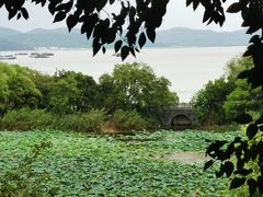 -上海市保健医疗中心