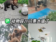 -成都动物园
