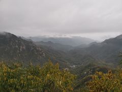 -大岭沟猕猴桃谷风景区