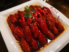 油焖小龙虾-海岛八号龙虾烧烤田鸡(蓝天路总店)