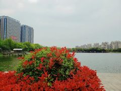 -南翔镇银翔湖公园