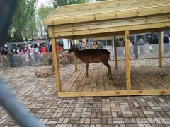 -长白岛森林公园