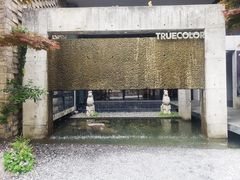 -苏州本色美术馆