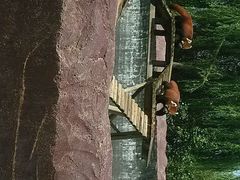 -临沂动植物园