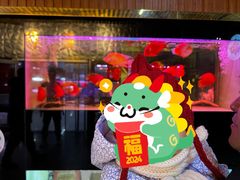 -中环花鸟鱼虫市场