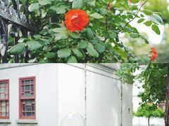 -南通博物苑-崇川人民公园