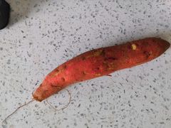 -和润艺术酒店-自助早餐厅