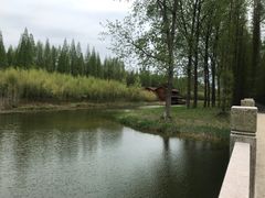 -黄海国家森林公园