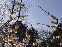 -中山公园