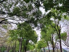 -文华公园(禅城区)