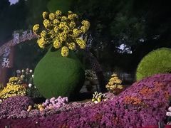 -杭州植物园