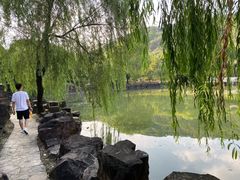 -灵岩山风景区