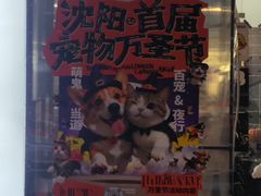 -沈阳铁西万象汇