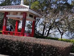 -金鸡山公园