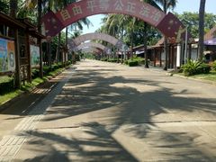 -万绿园