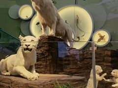 -陕西自然博物馆