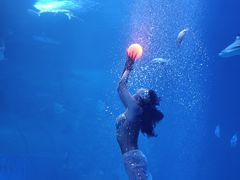 -太平洋海底世界