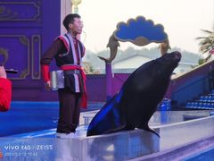 -横店影视城梦幻谷园区