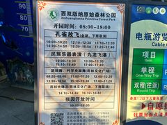-西双版纳原始森林公园
