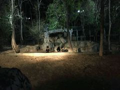 -清迈夜间动物园