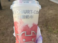 -一只酸奶牛(曲江龙湖星悦荟店)