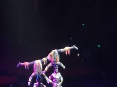 -珠海横琴长隆《卡卡虎奇遇记》