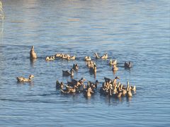 -野鸭湖国家湿地公园