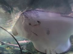 -南昌海洋公园
