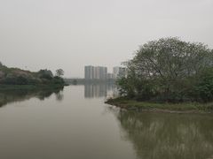 -广东花都湖国家湿地公园