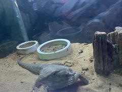 -梦幻海洋王国(吾悦广场张家港店)