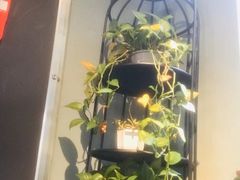 -IFIF 如果花園(宽厚里店)
