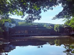 -绿茶餐厅(龙井船宴· 品牌总店)